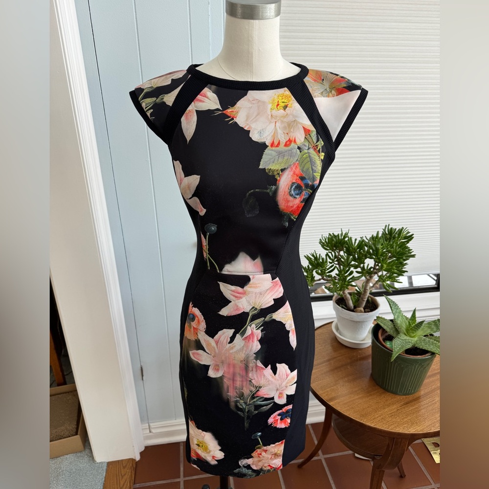 Ted Baker Dress size 2 us 4-6